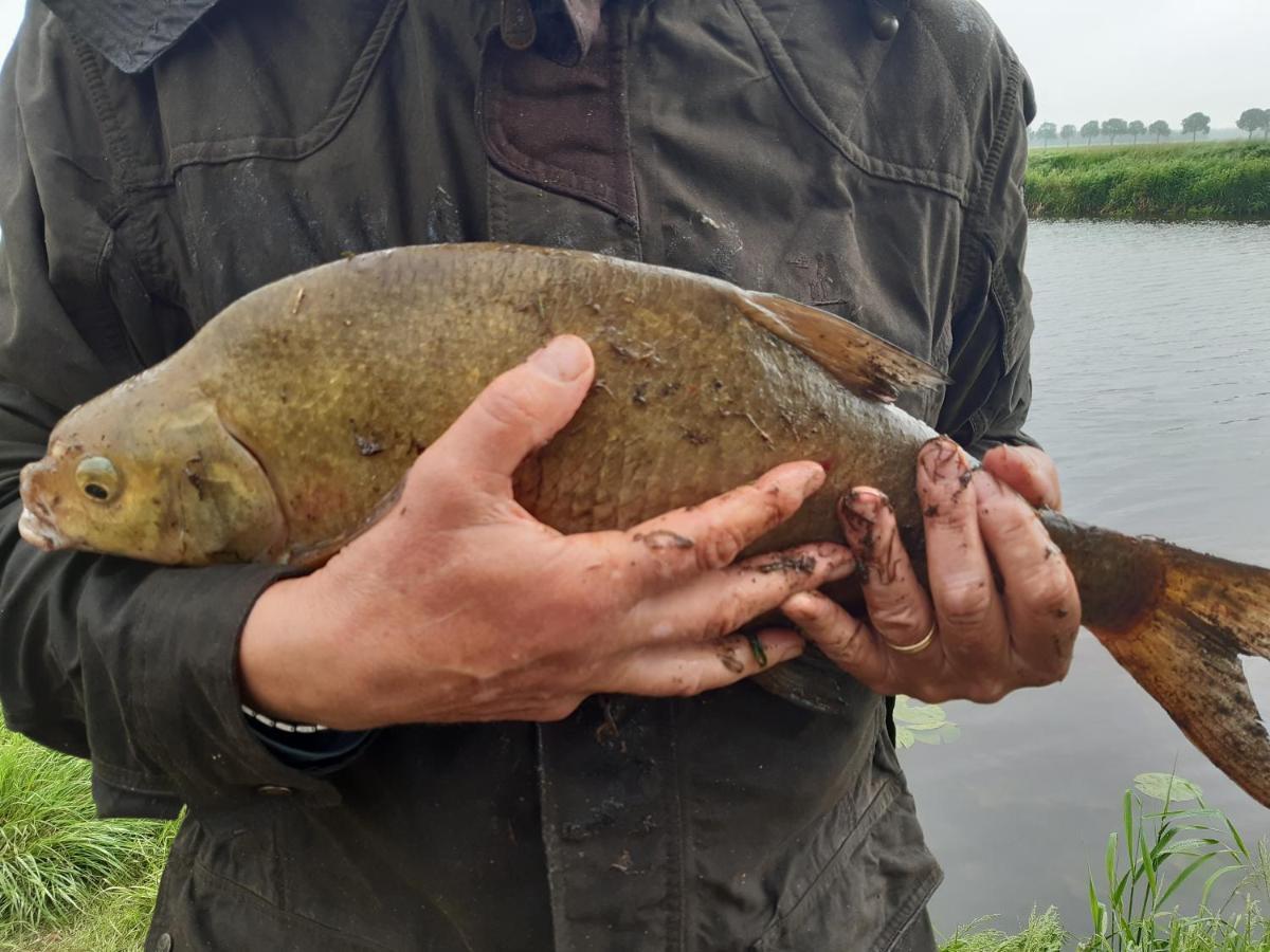 Vakantiehuis De Veldhoen Vrijgelegen Nabij De Rivier De Vecht Beerze Екстер'єр фото
